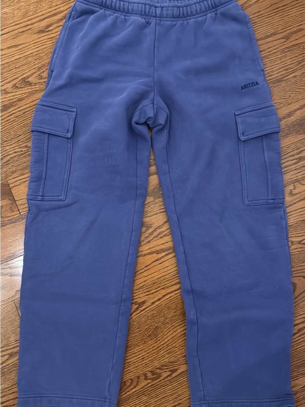 Aritzia Sweatfleece Mega Cargo Sweatpant